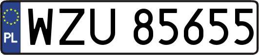 WZU85655