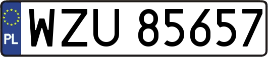 WZU85657