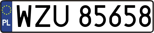 WZU85658