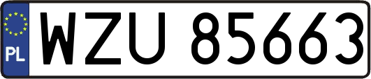 WZU85663