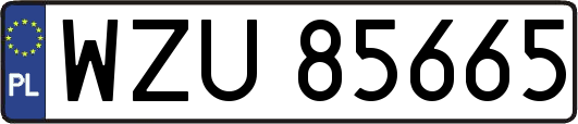 WZU85665