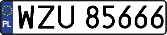 WZU85666