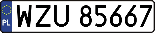 WZU85667