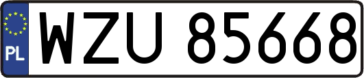 WZU85668