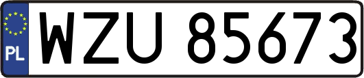 WZU85673