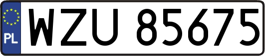 WZU85675