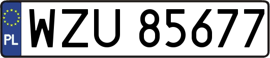 WZU85677