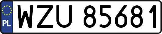 WZU85681