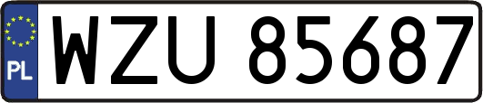 WZU85687