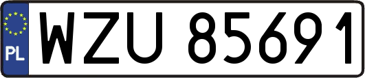 WZU85691