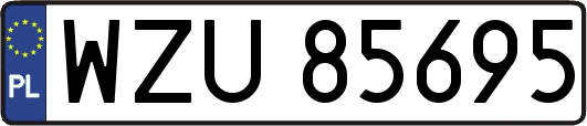 WZU85695