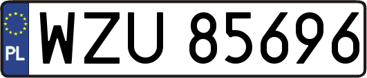 WZU85696