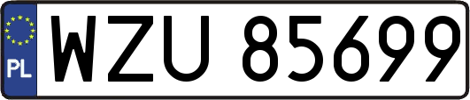 WZU85699