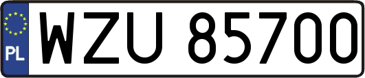 WZU85700