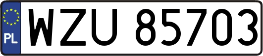 WZU85703