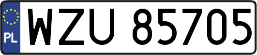 WZU85705
