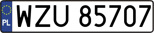 WZU85707