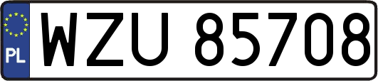 WZU85708