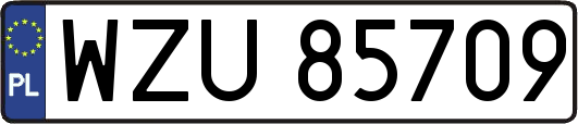WZU85709