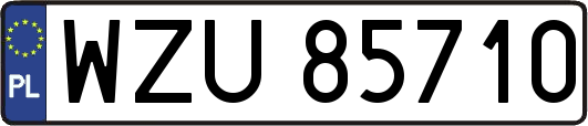 WZU85710