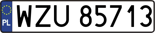 WZU85713