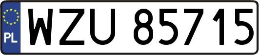 WZU85715