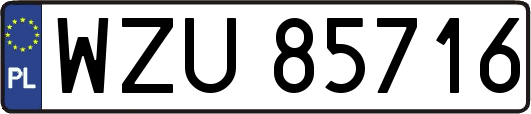WZU85716