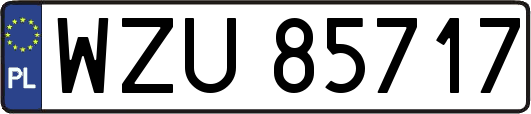 WZU85717