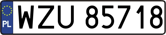 WZU85718