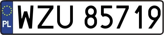 WZU85719
