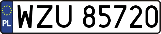WZU85720
