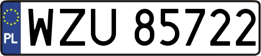 WZU85722
