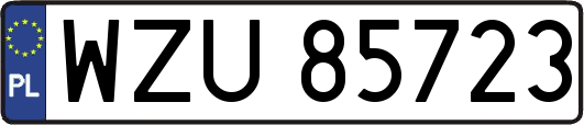 WZU85723