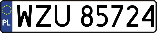 WZU85724