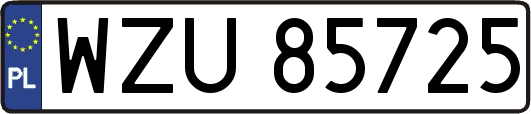WZU85725