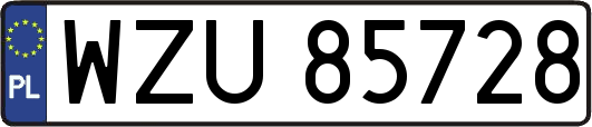 WZU85728