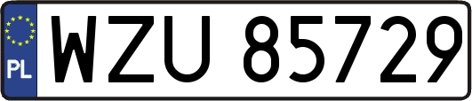 WZU85729