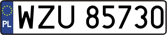 WZU85730