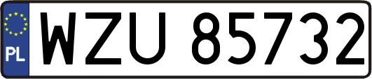 WZU85732