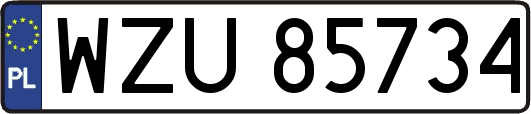 WZU85734