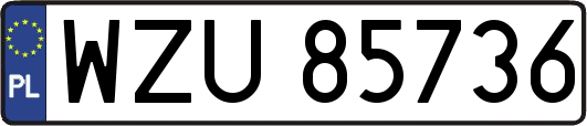 WZU85736