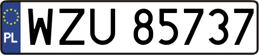 WZU85737