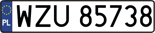 WZU85738