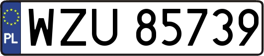 WZU85739