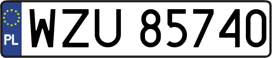 WZU85740