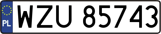 WZU85743