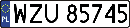 WZU85745