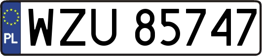WZU85747