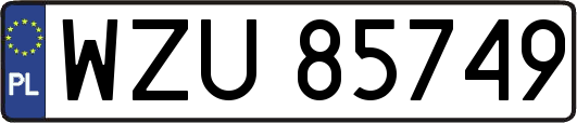 WZU85749