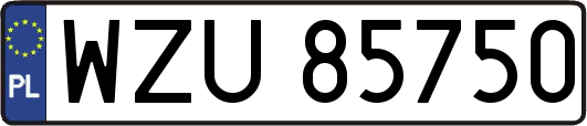 WZU85750